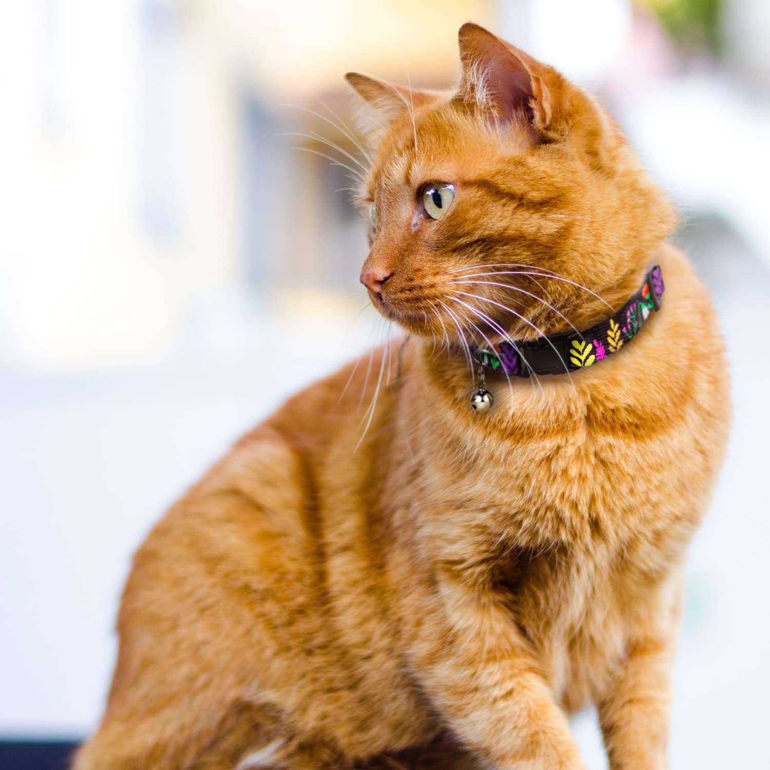 Cat Collar with Bell Floral Pattern 2 Pack Set Flower Adjustable Safety Breakaway Collars for Cats Kitten (Black + Yellow)