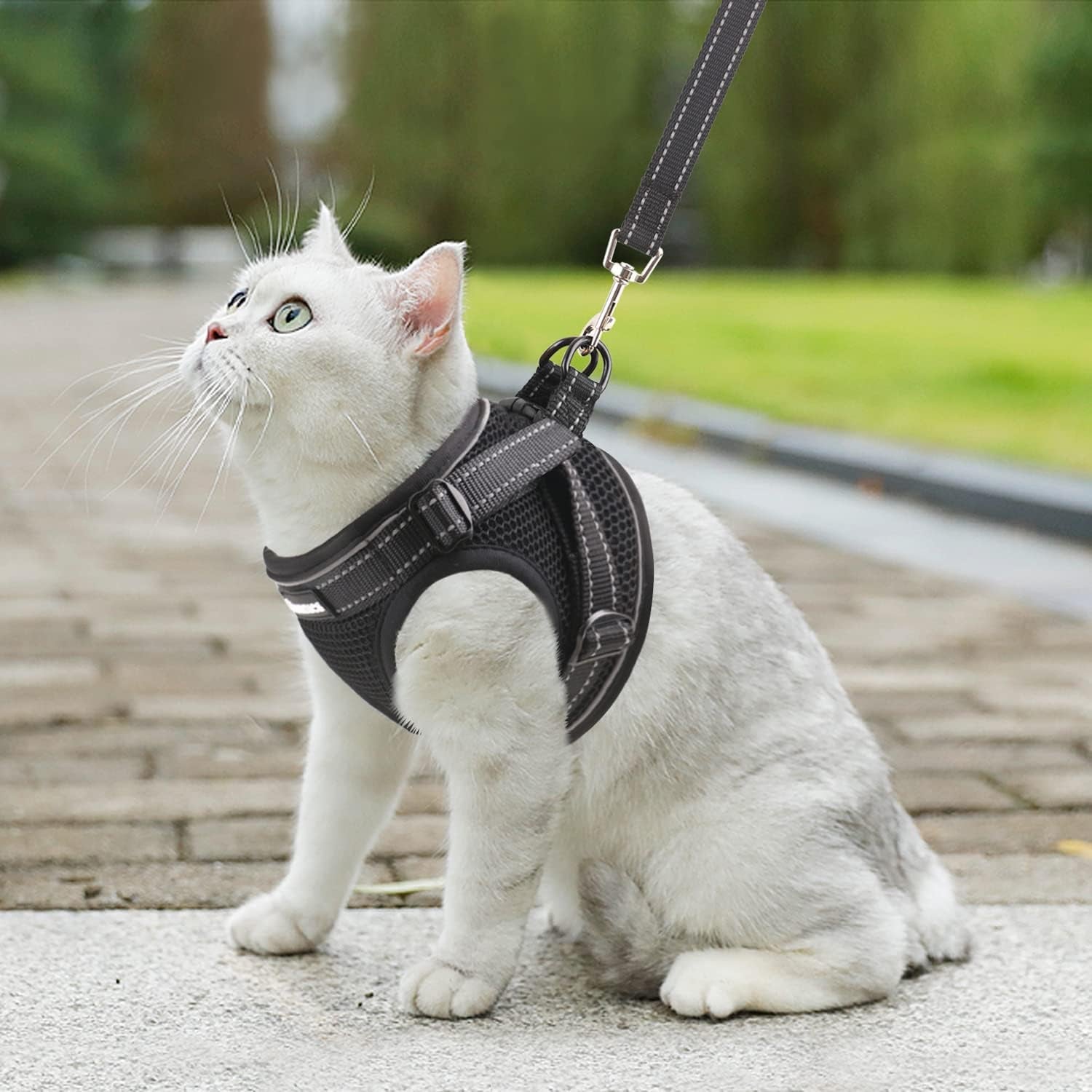 Cat Harness and Leash Set for Walking Escape Proof, Easy-To-Wear Adjustable Cat Harness with Reflective Strap - Comfort Fit for Pet Kitten Cat (S, Black)