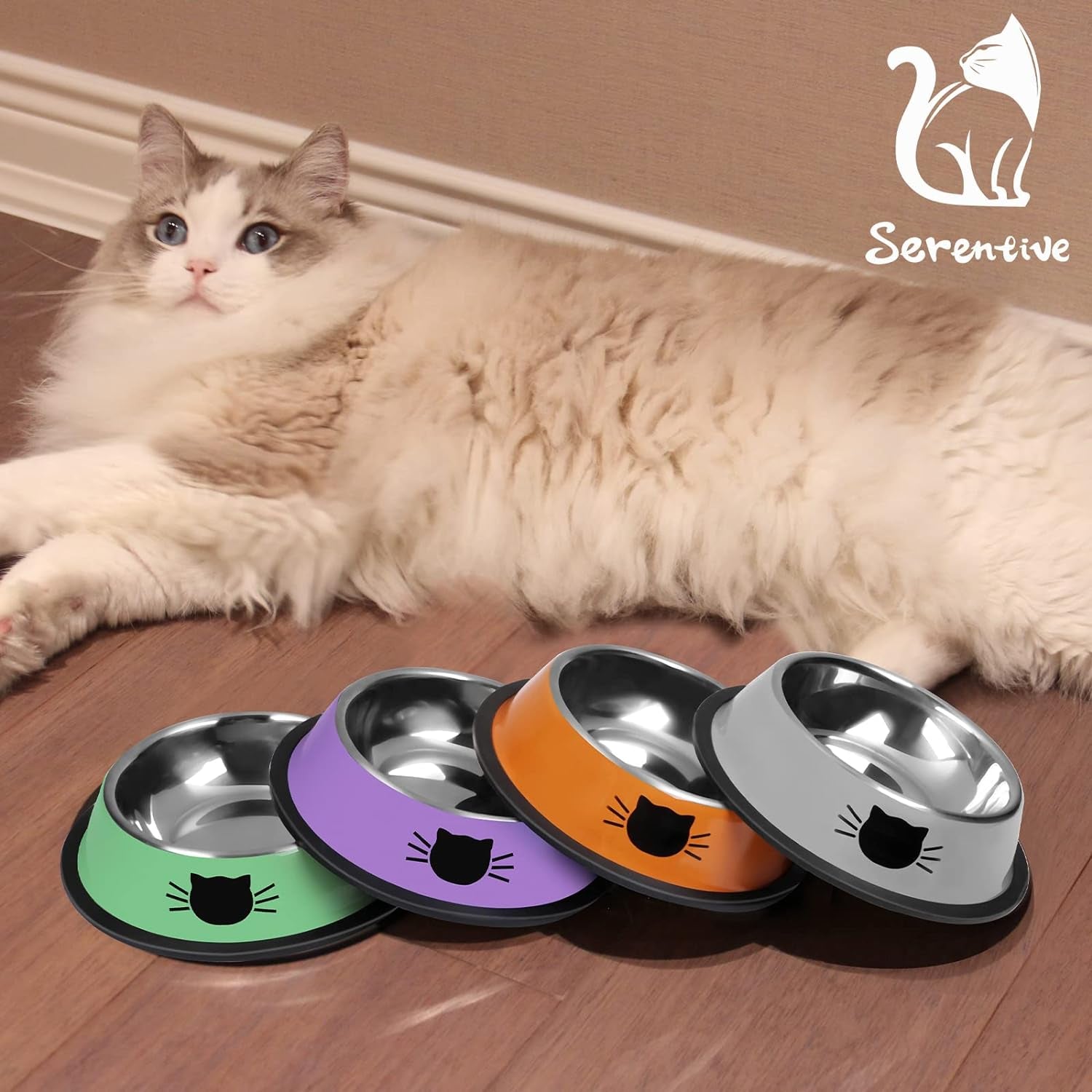 2Pcs Cat Bowls Non-Slip Stainless Steel Small Cat Food Bowls Unbreakable Thicken Cat Feeder 7 Oz Cat Dishes Suitable for Indoor Small Pets Removable Rubber Base Easily Clean Lovely Color