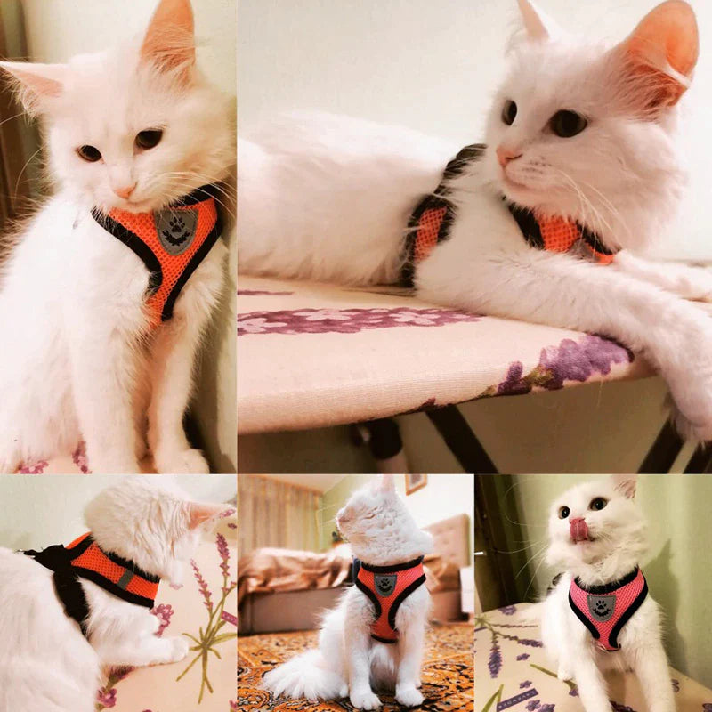 Cat Harness Adjustable Vest Walking Lead Leash for Puppy Dogs Collar Mesh Harness for Small Medium Dog Cat Pet Products