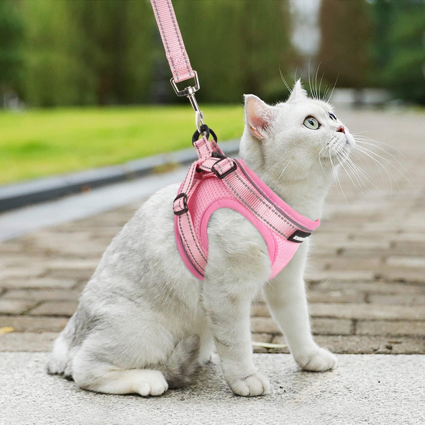 Cat Harness and Leash Set for Walking Escape Proof, Easy-To-Wear Adjustable Cat Harness with Reflective Strap - Comfort Fit for Pet Kitten Cat (S, Pink)