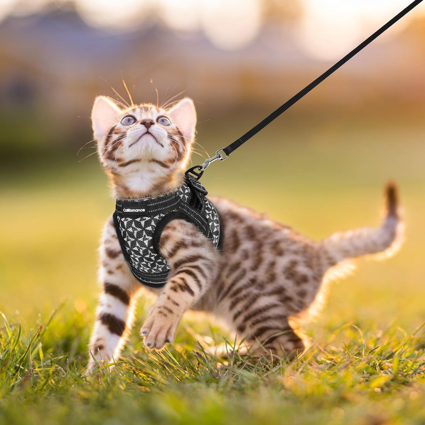 Cat Harness and Leash Escape Proof for Walking, Safe Adjustable Small Kitten Vest Set with Reflective Strip for Kitty, Easy Control Comfortable Soft Outdoor Pet Harnesses, Black, Small