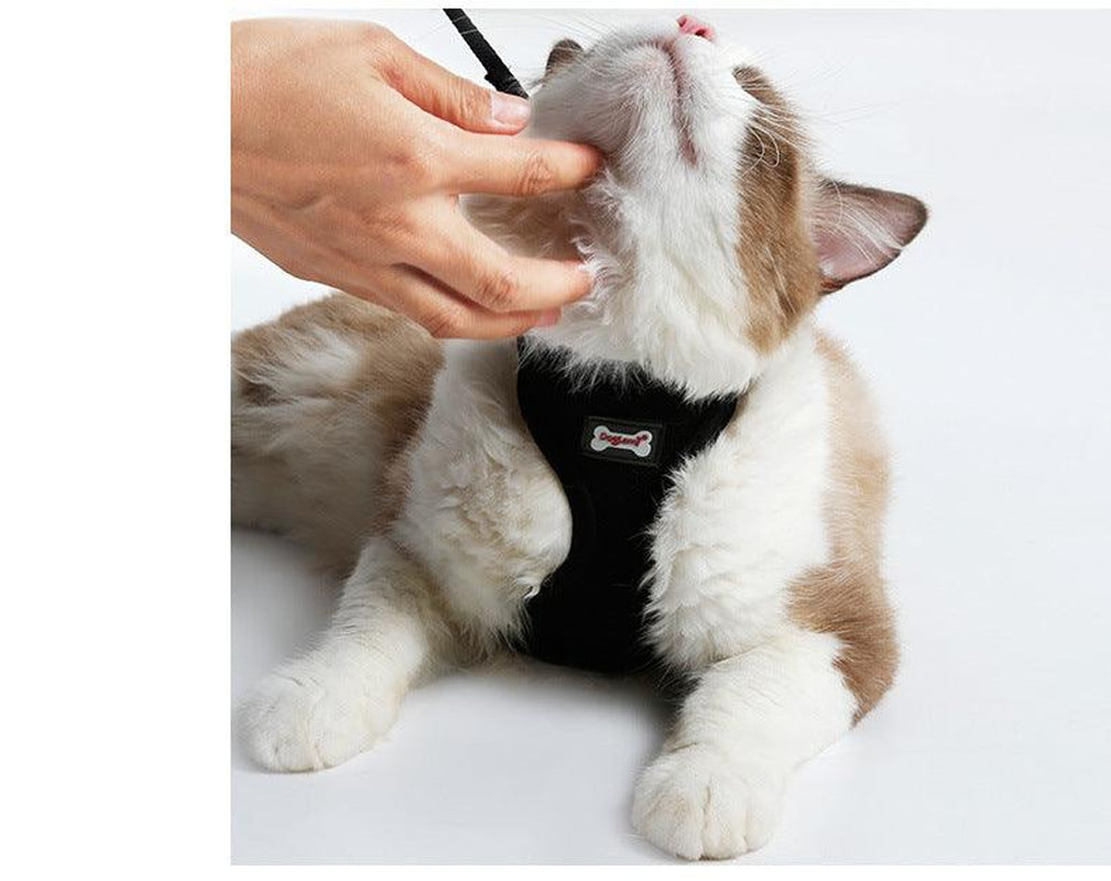 Ultimate Grip Cat Harness