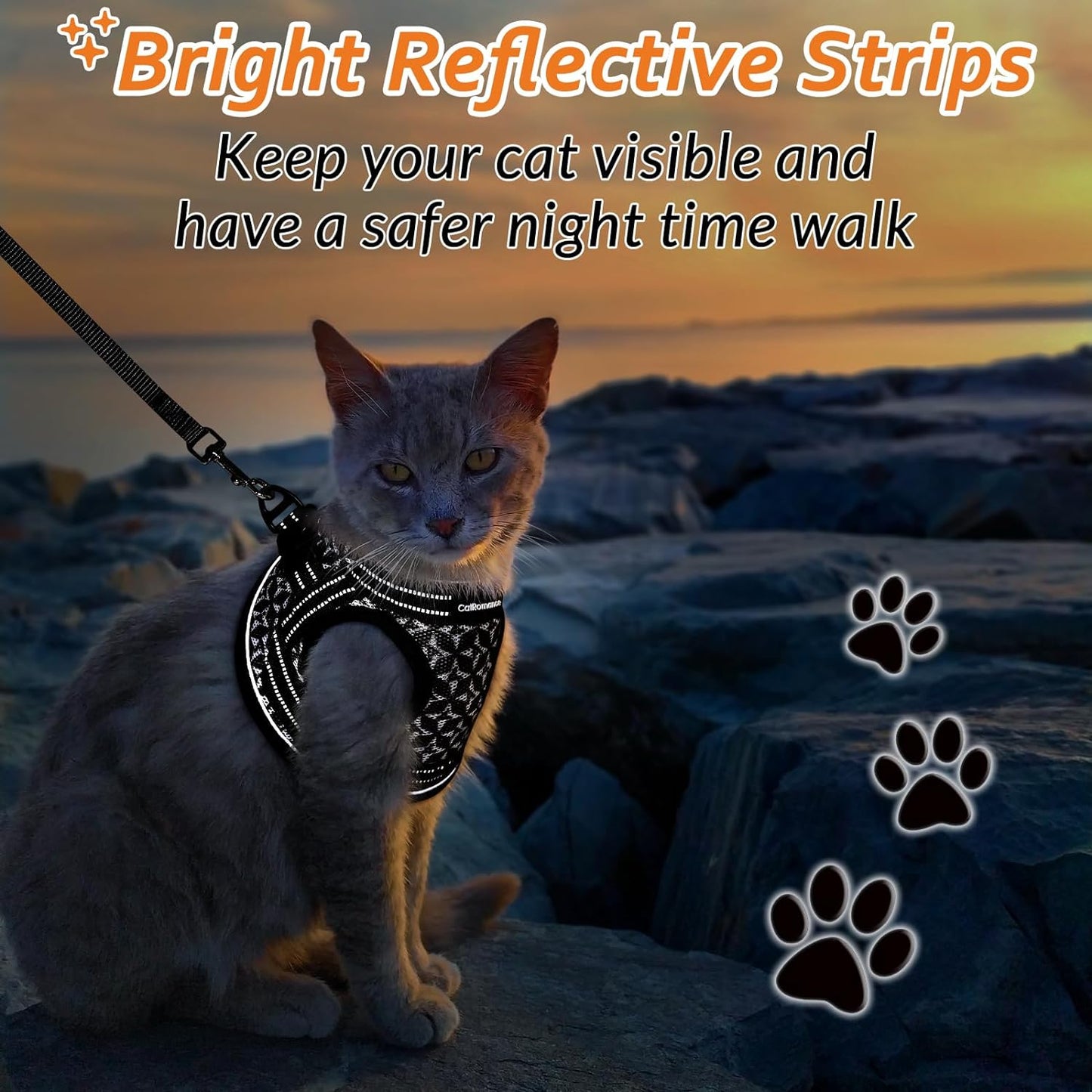 Cat Harness and Leash Escape Proof for Walking, Safe Adjustable Small Kitten Vest Set with Reflective Strip for Kitty, Easy Control Comfortable Soft Outdoor Pet Harnesses, Black, Small