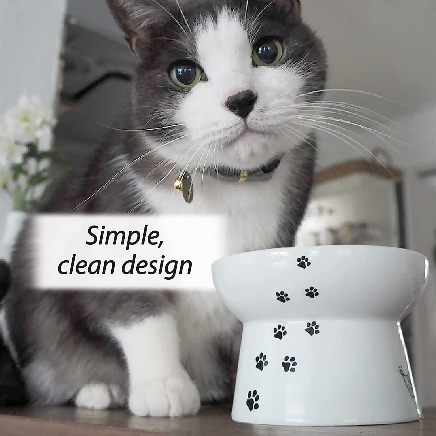 Raised Stress Free Cat Food Bowl, Elevated, Backflow Prevention, Dishwasher and Microwave Safe, No.1 Seller in Japan! (Cat, Regular)