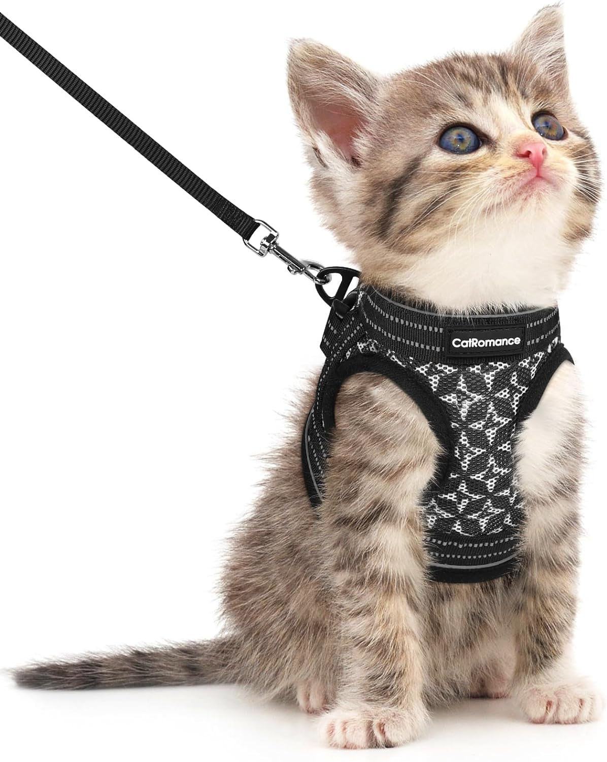 Cat Harness and Leash Escape Proof for Walking, Safe Adjustable Small Kitten Vest Set with Reflective Strip for Kitty, Easy Control Comfortable Soft Outdoor Pet Harnesses, Black, Small