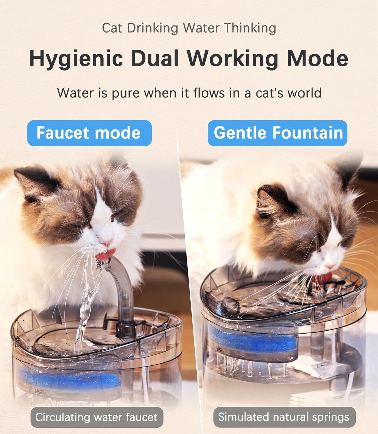 Cat Water Fountain Animal Water Dispenser 61OZ/1.8L Automatic Pet Drinking Fountain Clear Upgrade with 2 Filter Replacement 1 Adjustable Silent 1 Water Pump for Cats Kitty Indoor