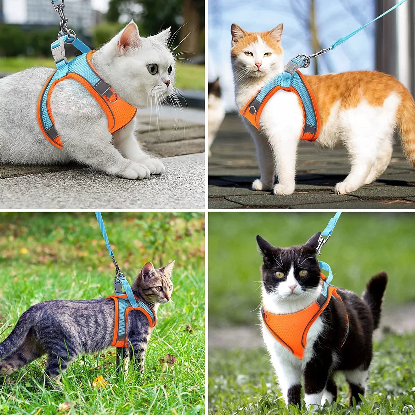 Cat Harness and Leash, Escape Proof Cat Vest Dog Walking Leash and Harness Set, Adjustable Step in Pet Harness, Reflective Breathable Easy Control Vest for Small Large Kitten Dog Outdoor, Orange XS