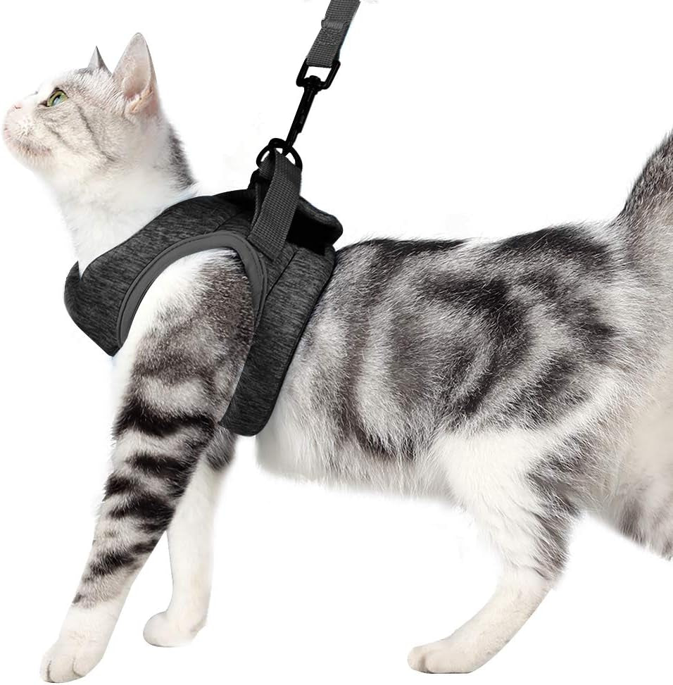 Cat Harness and Leash - Ultra Light Escape Proof Kitten Collar Cat Walking Jacket with Running Cushioning Soft and Comfortable Suitable for Puppies Rabbits