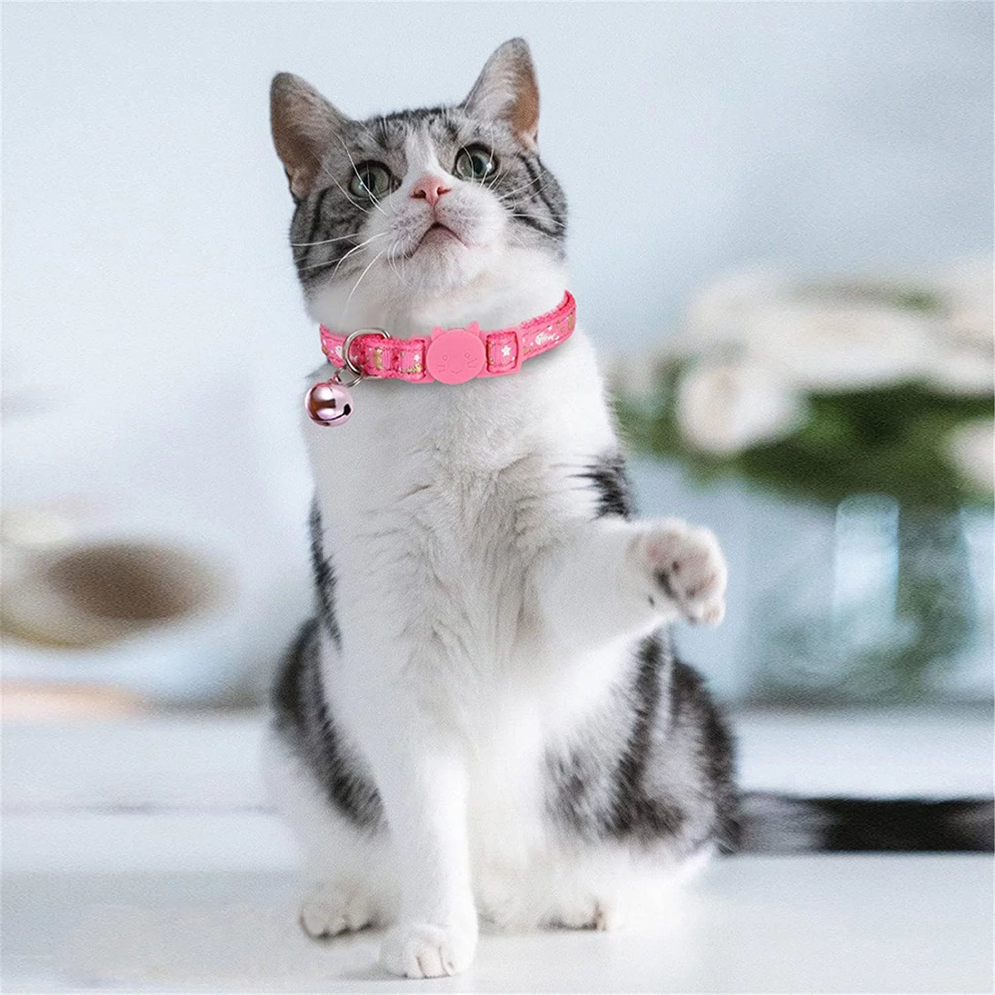 3 Pack Cat Collar Breakaway Kitten Collar with Bell Moon Star and Fish Bone Pattern Cat Collars Glow in Dark Adjustable from 7.5-11.4In