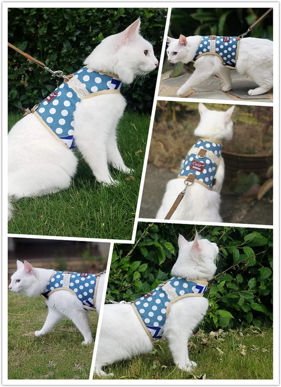 Cat Harness and Leash for Walking Escape Proof, Adjustable Cat Vest Harness, Padded Stylish Cat Walking Jackets, Polka Dot Blue, Large