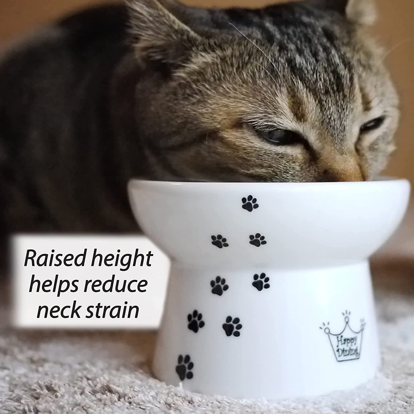 Raised Stress Free Cat Food Bowl, Elevated, Backflow Prevention, Dishwasher and Microwave Safe, No.1 Seller in Japan! (Cat, Regular)