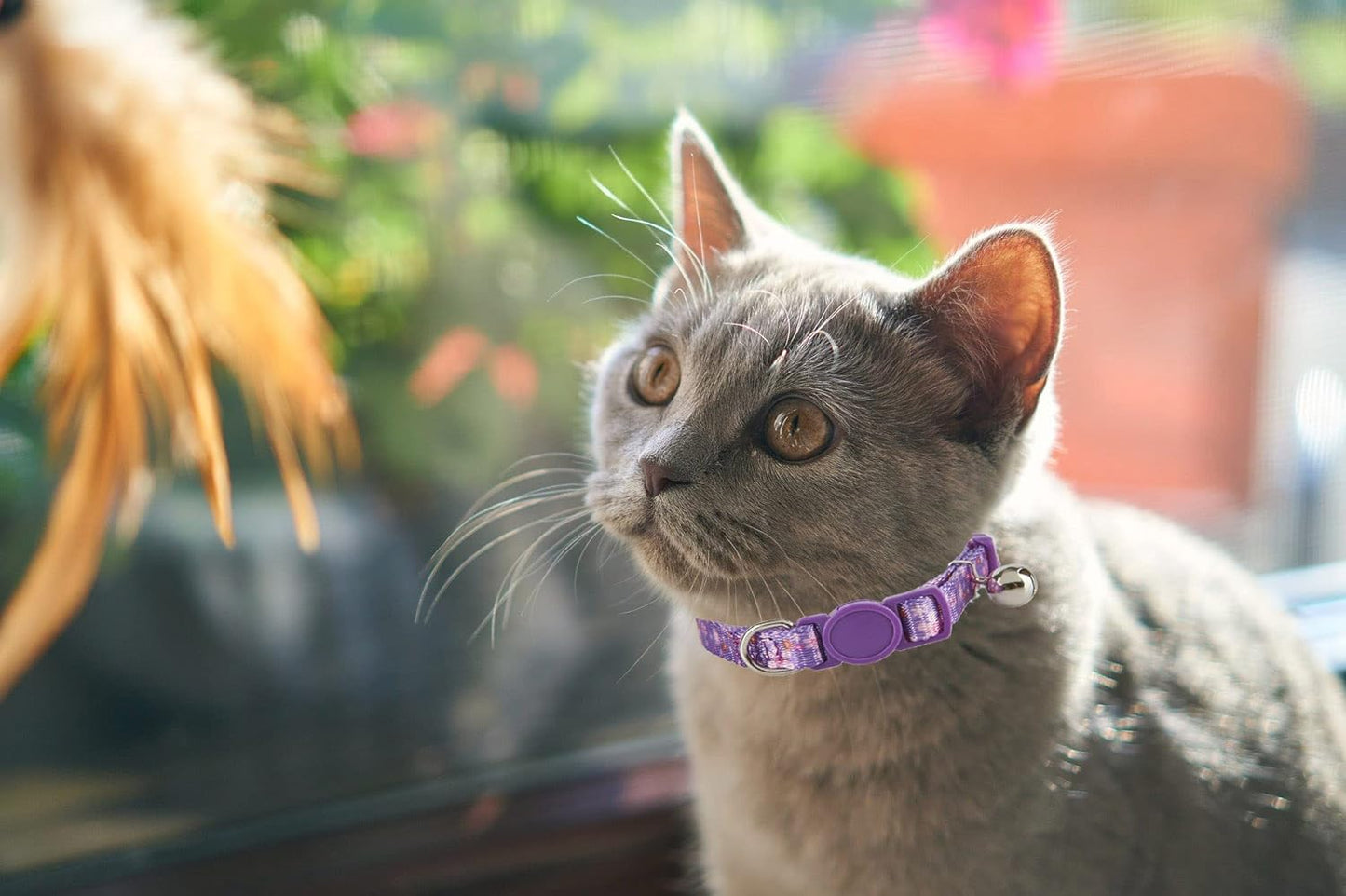 Breakaway Cat Collar with Bell, 2 Pack of Adjustable Floral Cat Collars Cute Safety Purple Pink Kitty Strawberry Collar