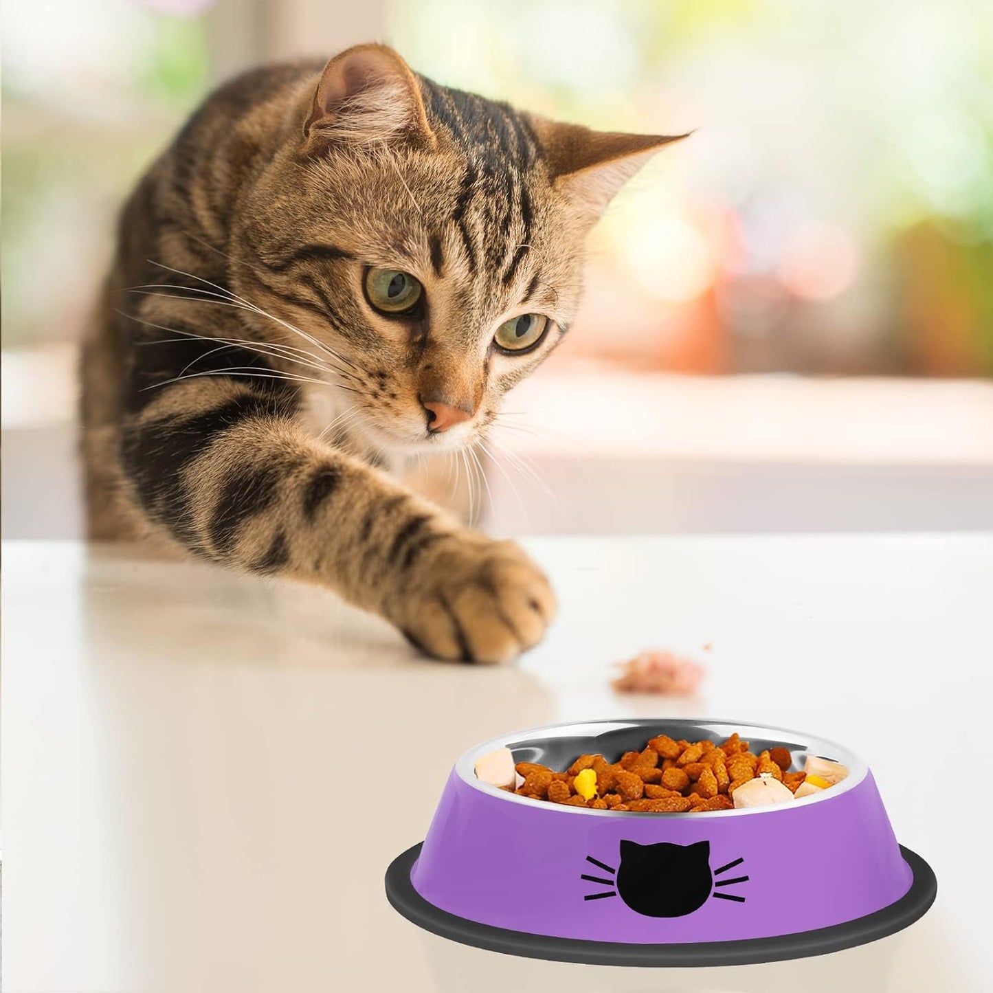 2Pcs Cat Bowls Non-Slip Stainless Steel Small Cat Food Bowls Unbreakable Thicken Cat Feeder 7 Oz Cat Dishes Suitable for Indoor Small Pets Removable Rubber Base Easily Clean Lovely Color