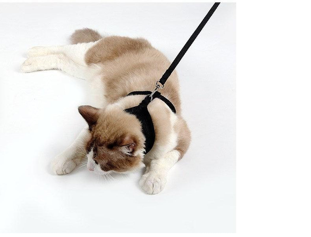 Ultimate Grip Cat Harness